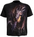 T-Shirt Dragon Maiden